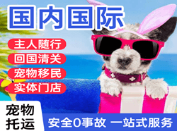 湛江空运国际宠物托运 【国